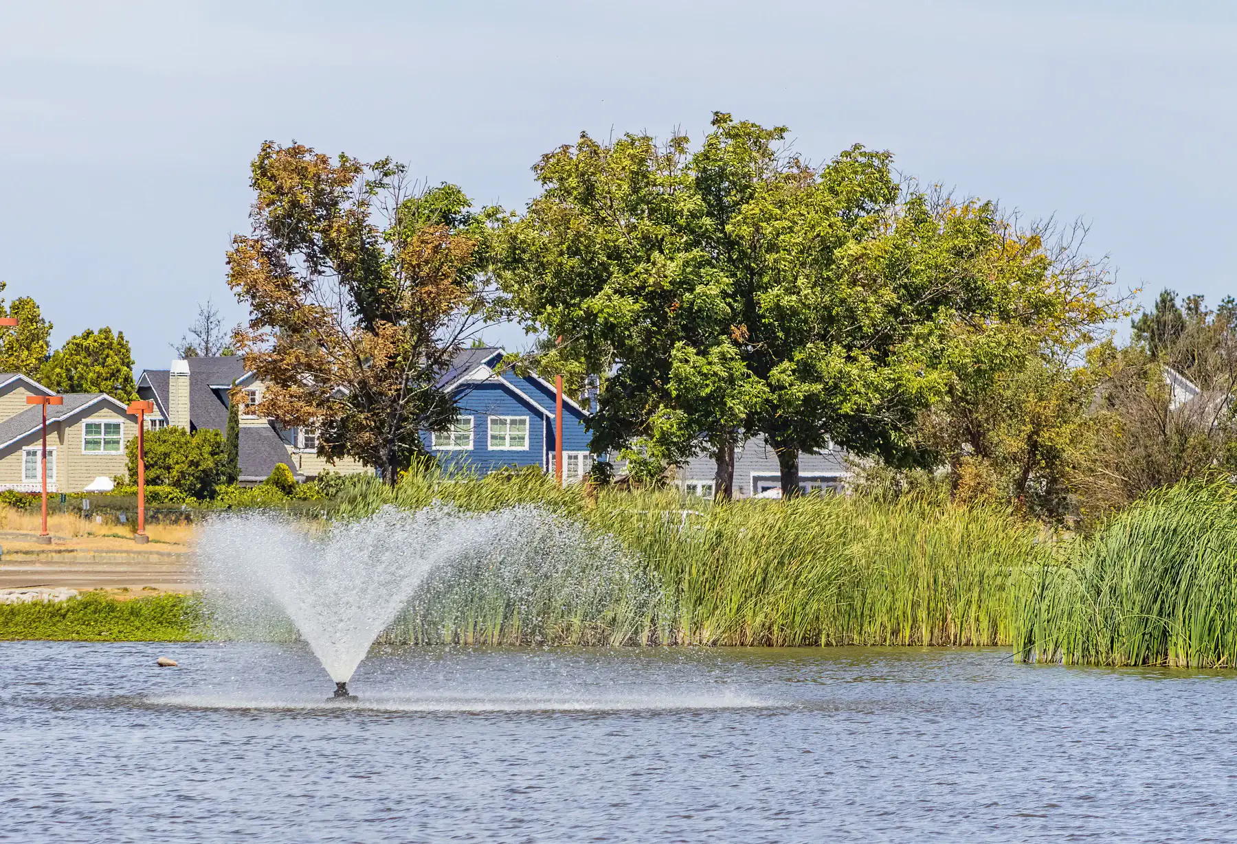 Homes, mature trees, and water used as editorial imagery for a community search