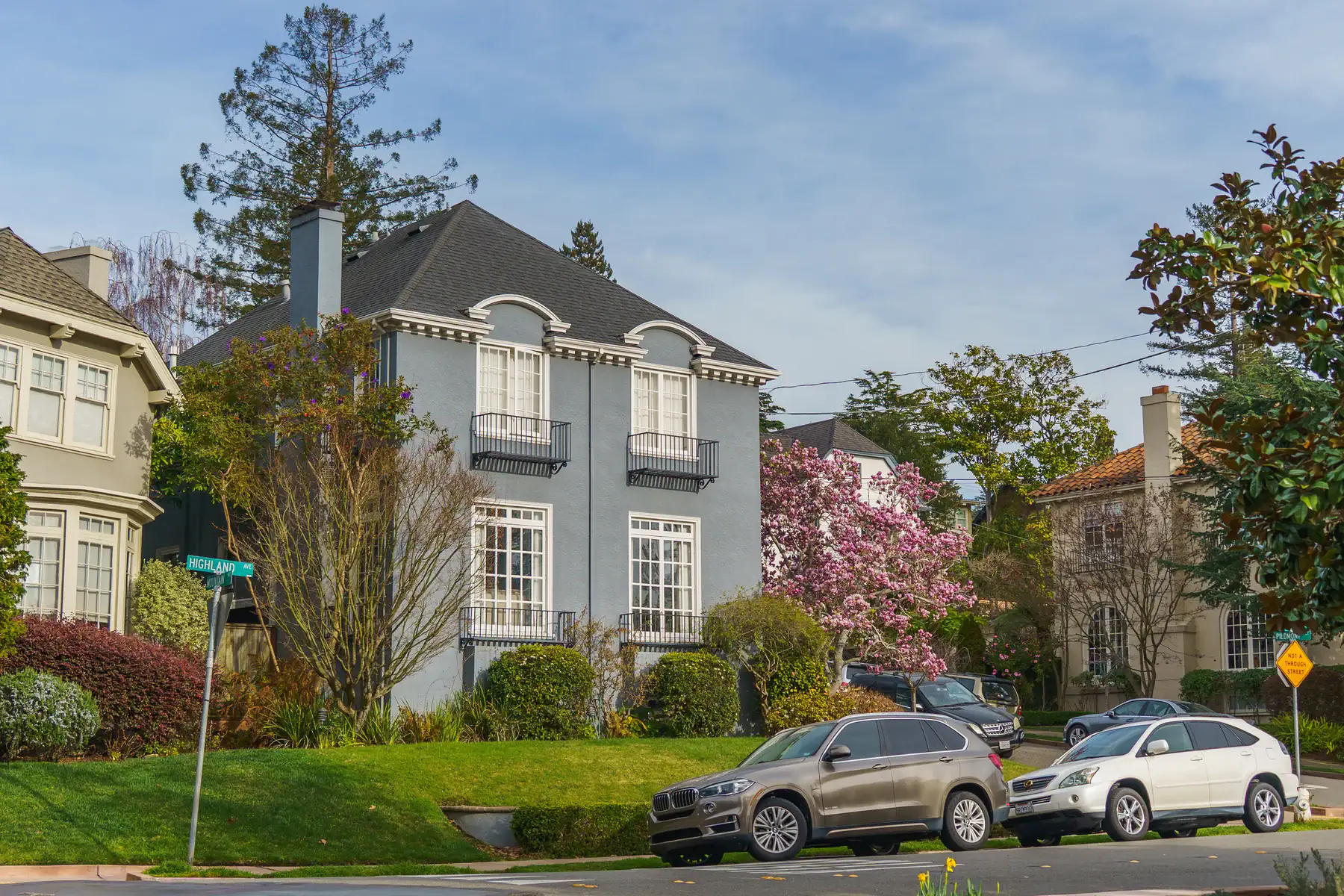 Tree-lined residential street used as editorial home-search imagery